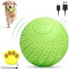 Interactive Dog Ball Toy with Remote Control – Silent Motion Activated Rolling & Bouncing