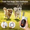 Dog Shock Collar with Remote Control – 3 Training Modes with Custom Voice, Dual Dog Support